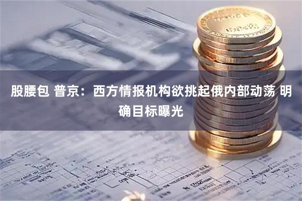 股腰包 普京：西方情报机构欲挑起俄内部动荡 明确目标曝光